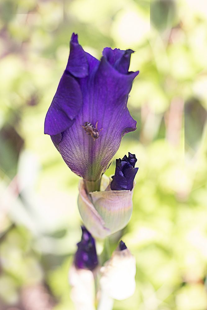 Photograph by Ирина Анцыгина