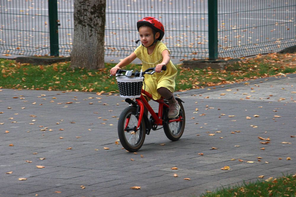 Фотография автора Татьяна Сергиенко