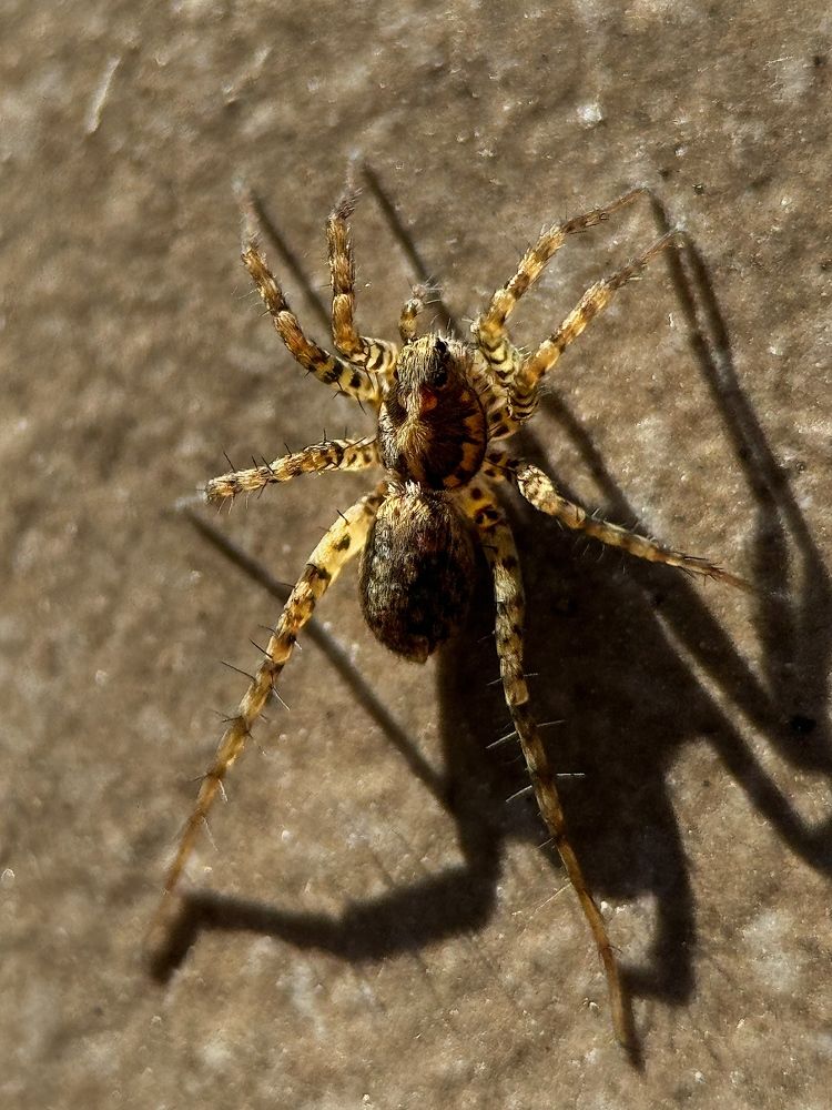 Фотография автора Катерина Иванова