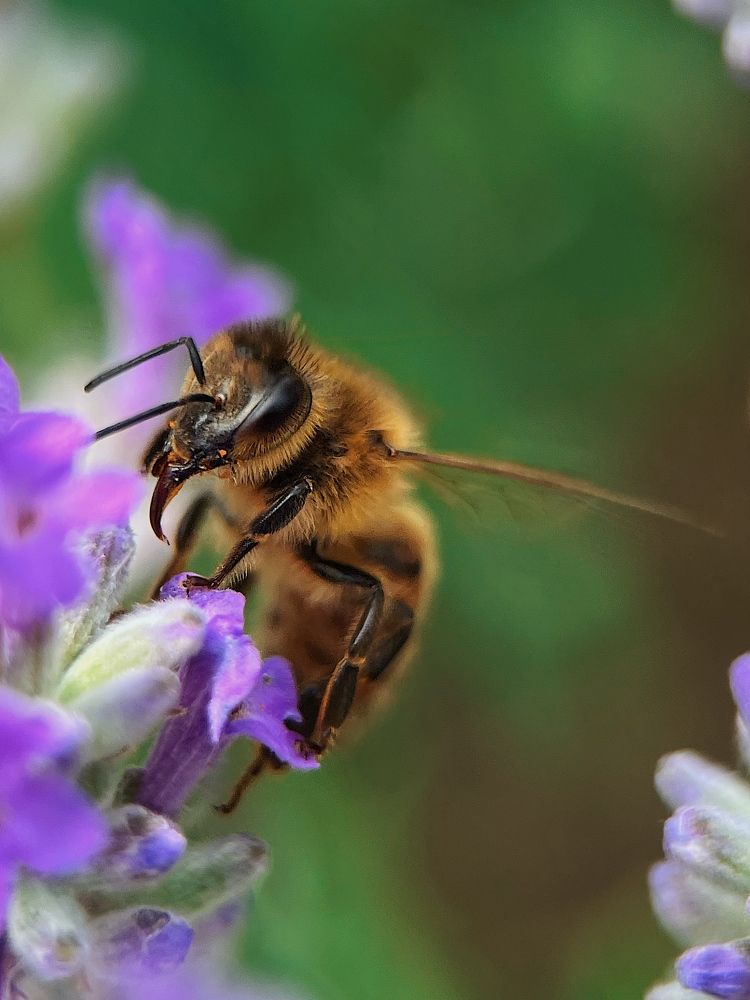 Фотография автора Катерина Иванова