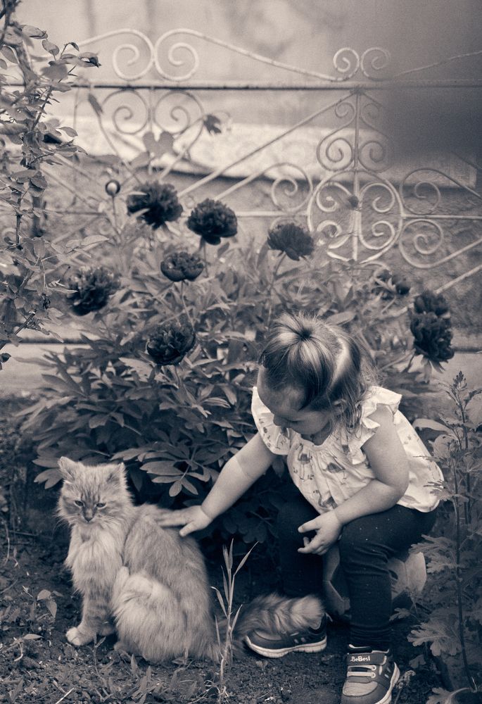 Photograph by Кристина Присакарь