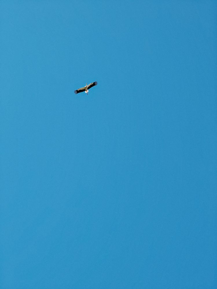 Photograph by Екатерина Савеня