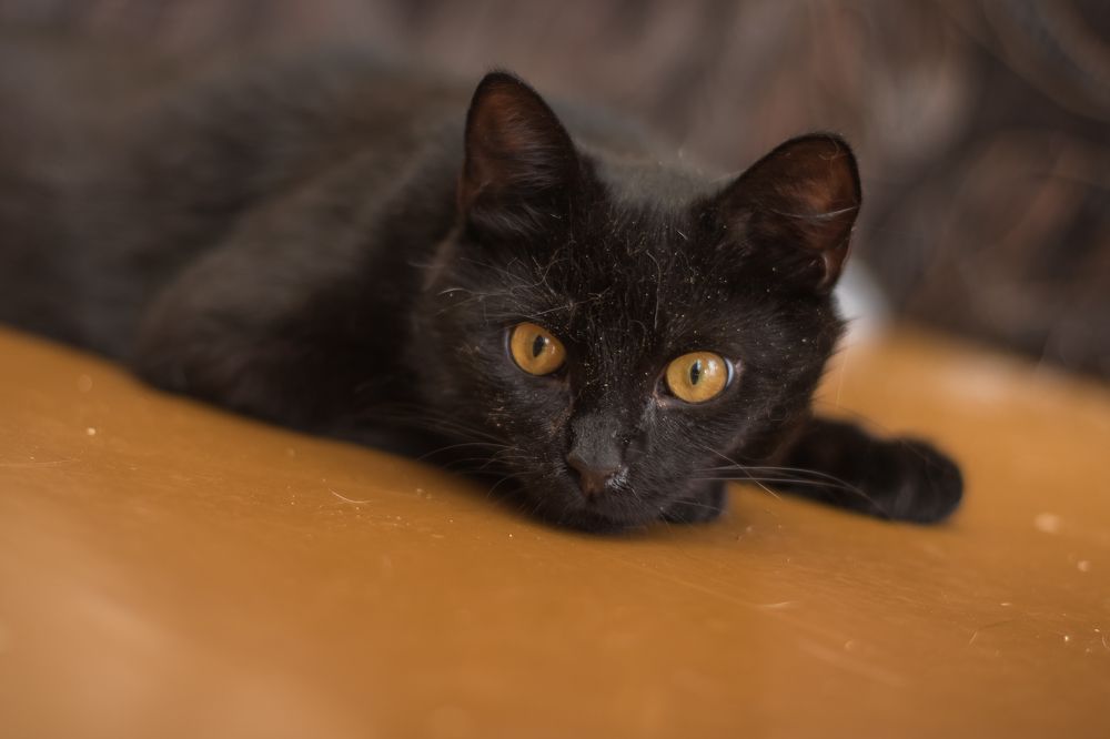 Photograph by Татьяна Байкова