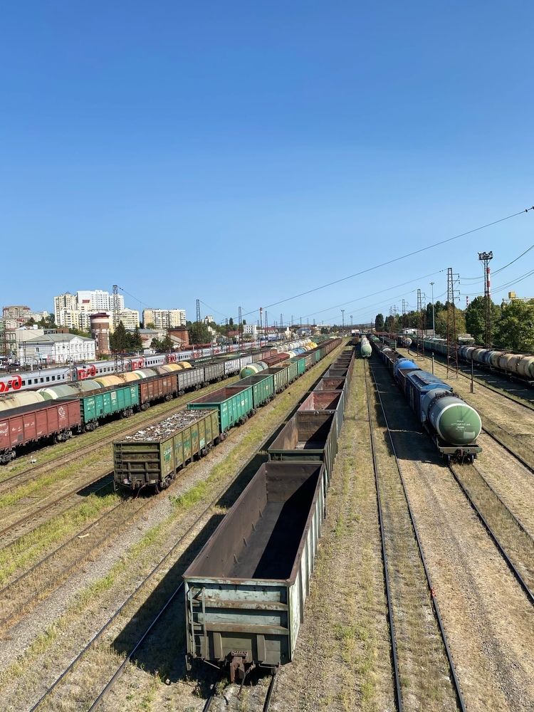 Фотография автора Виктория Зеленкова