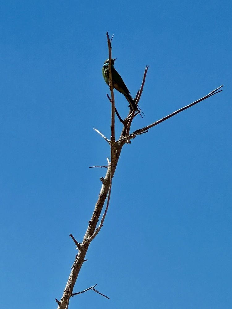 Photograph by Анастасия Конина