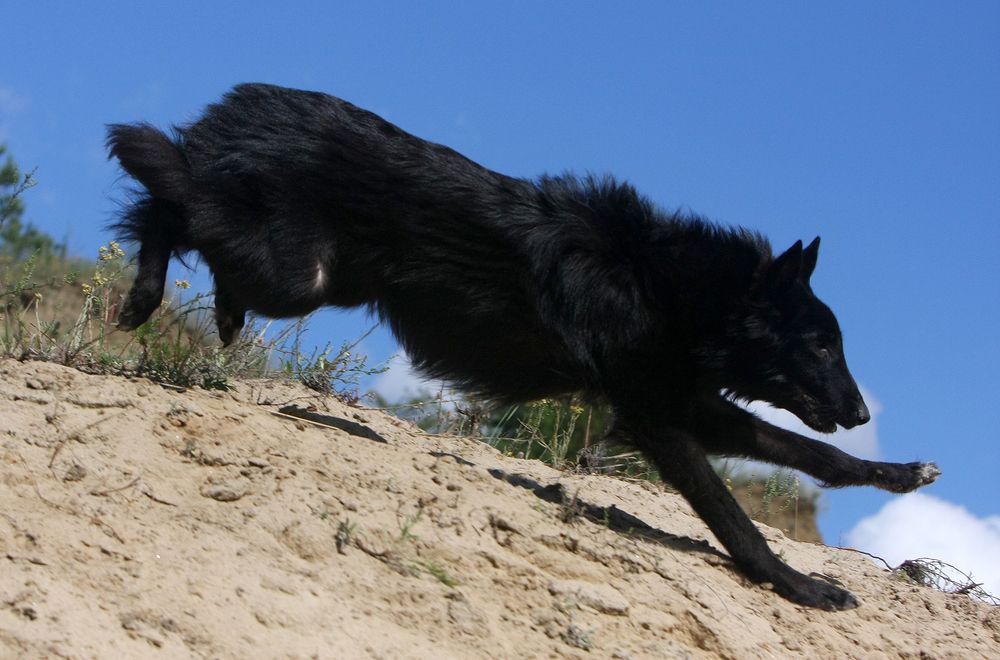 Фотография автора Надежда Лисицына
