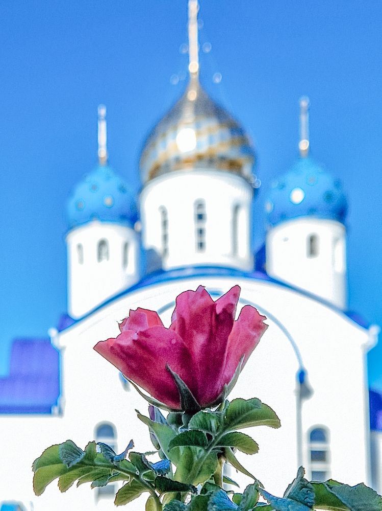 Photograph by Liudmila Kirillova