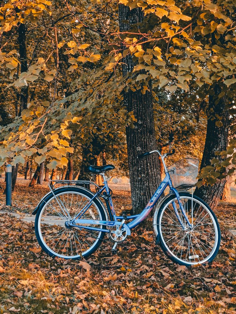 Photograph by Liudmila Kirillova