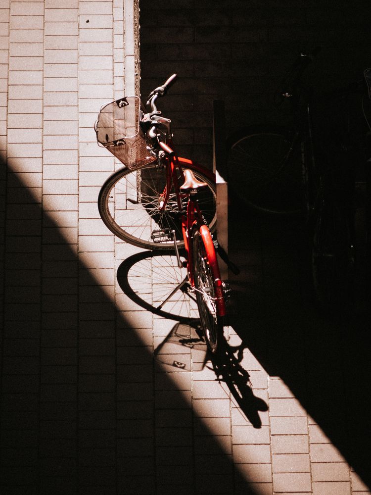 Photograph by Liudmila Kirillova