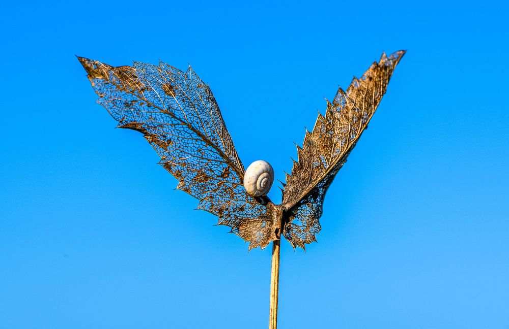 Photograph by Юлия Ковальчук