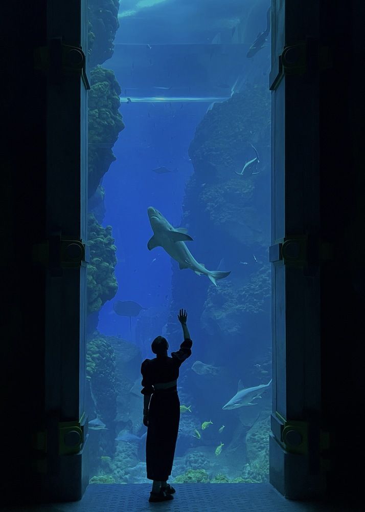 Photograph by Марина Кобелева