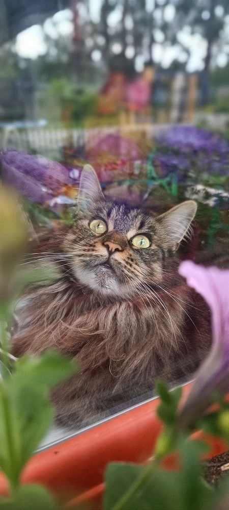 Photograph by Ульяна Северинова