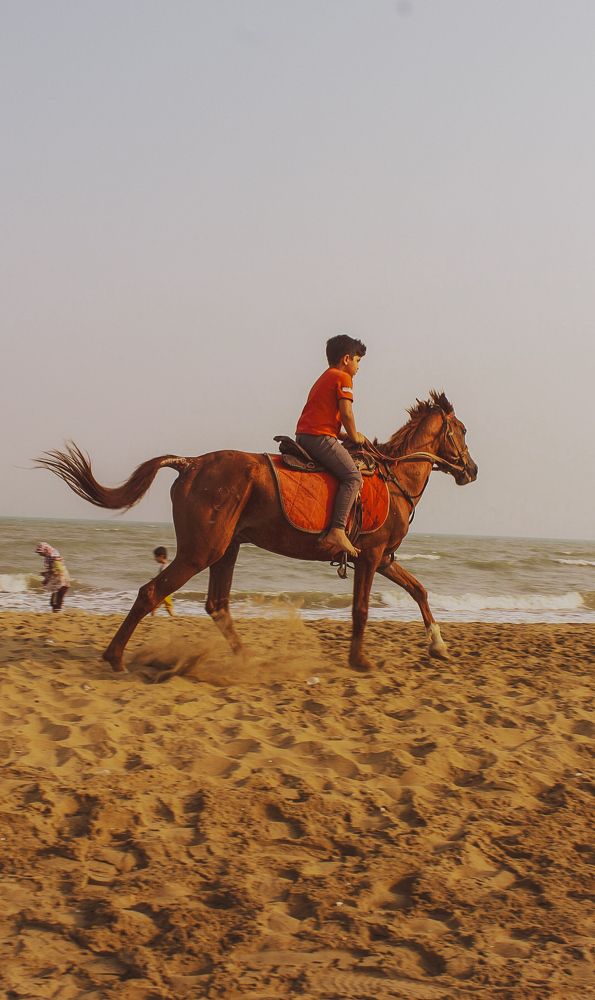 Фотография автора ghavidel Amir Ali