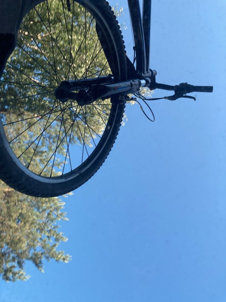 Фотография автора Алина Павлова