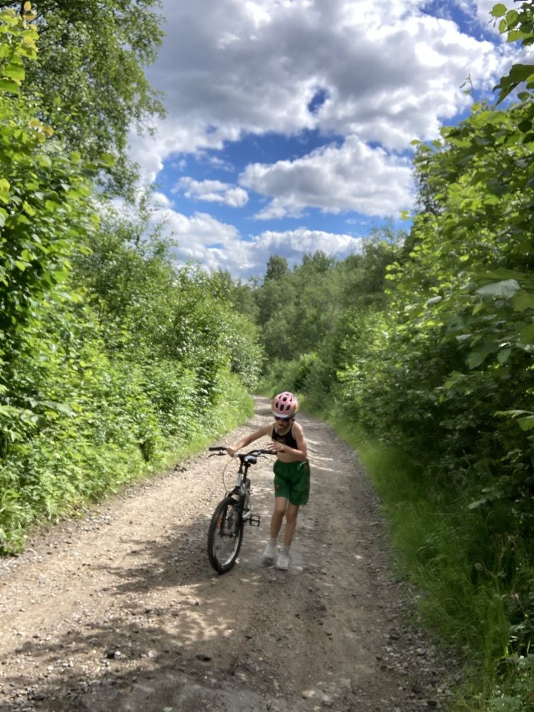 Фотография автора Алина Павлова