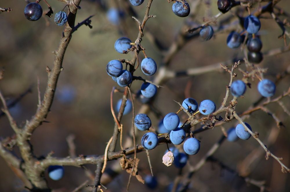 Photograph by Анатолий Святой