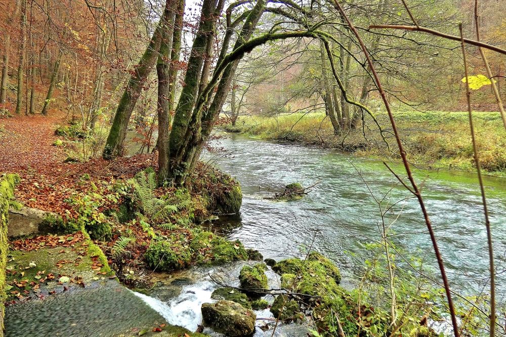 Photograph by backareva irina