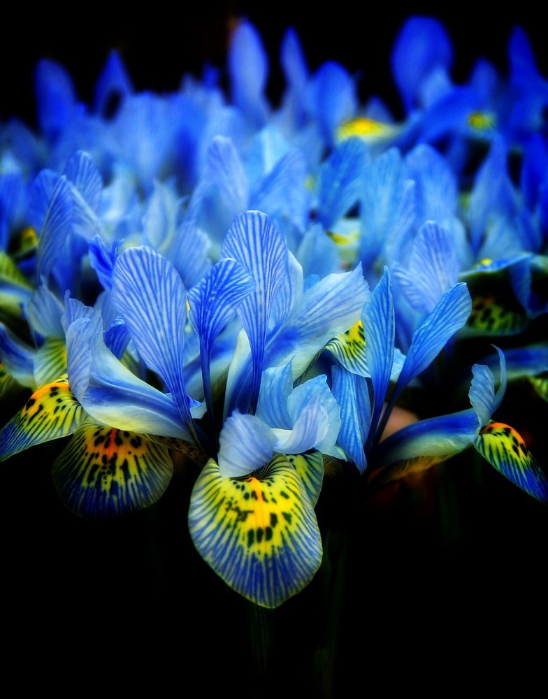 Photograph by Наталия Мельникова