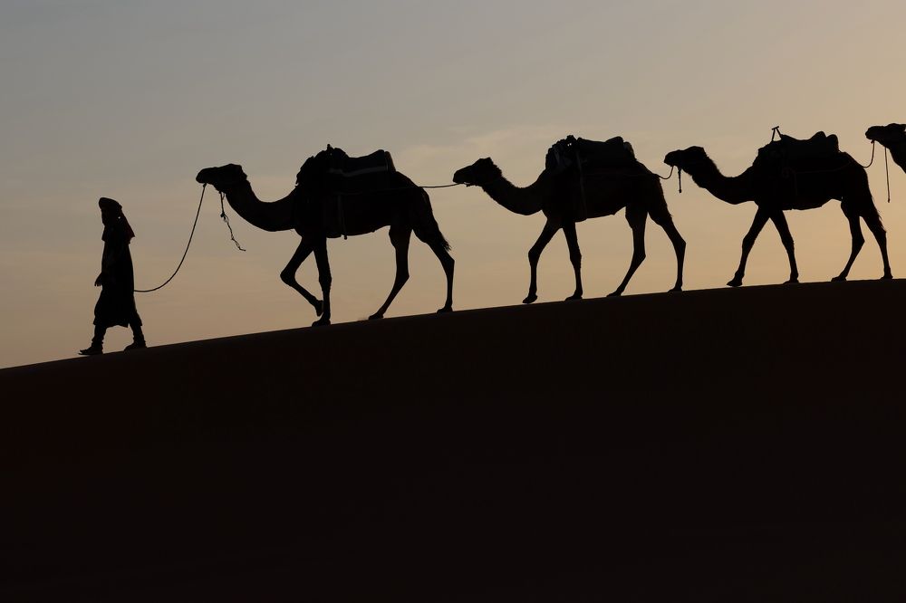 Photograph by Леонид Голубков