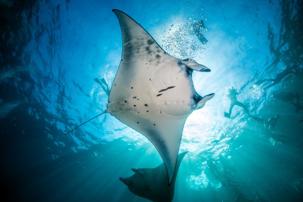 Photograph by Rodrigo Gavilan