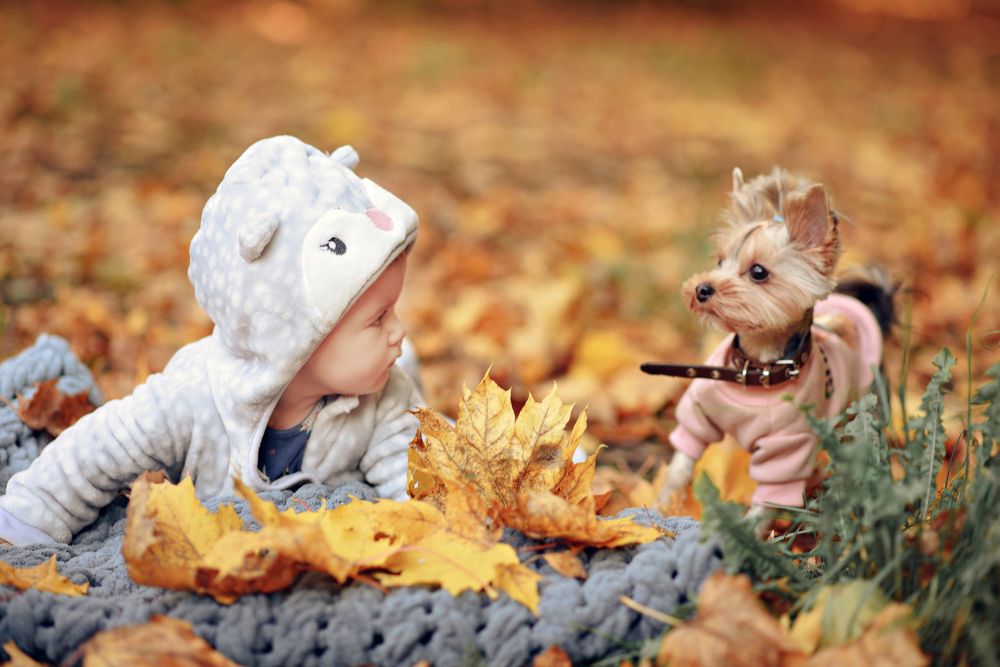 Photograph by Vera Nefedova