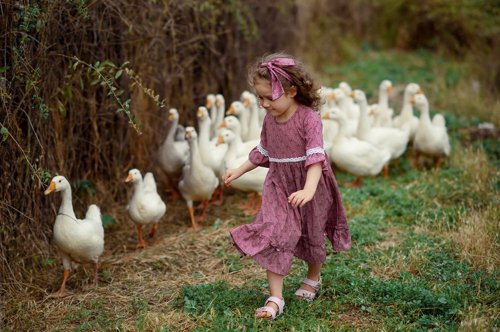 Photograph by Екатерина Горохова