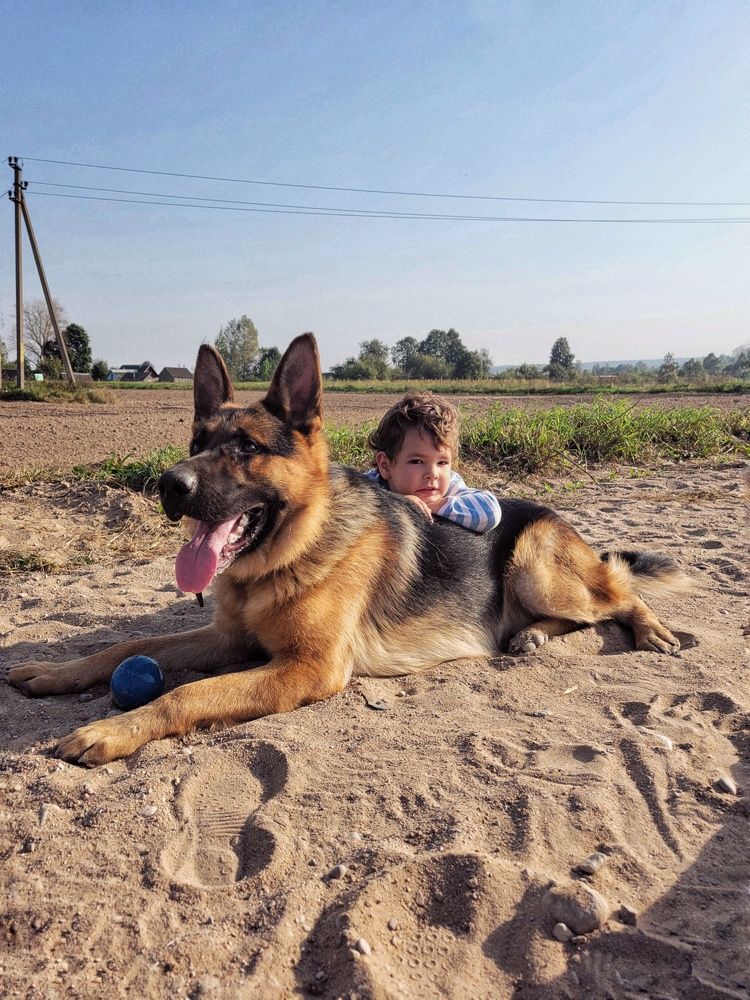 Photograph by Алина