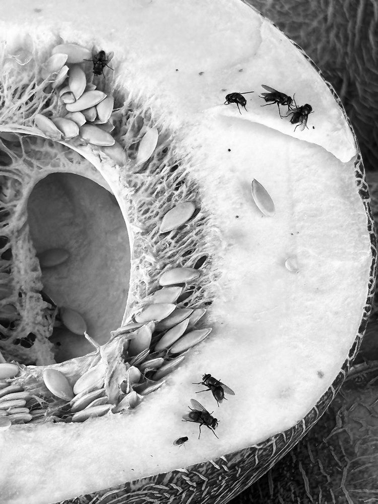 Photograph by Светлана Ионова