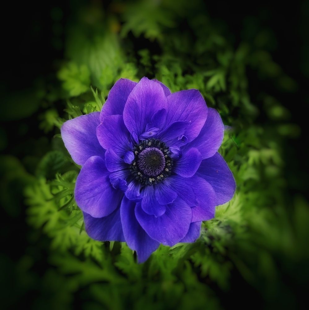 Photograph by Наталия Мельникова