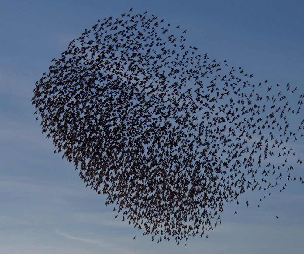 Photograph by Octavian Timosco