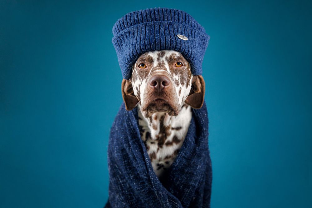 Photograph by Яна Нарбутович