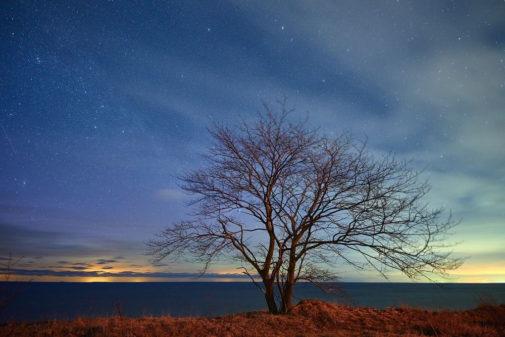 Photograph by Alla Matrosova