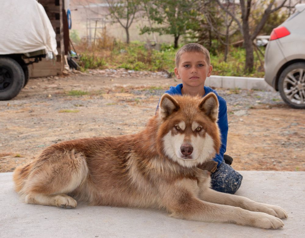 Photograph by Анна Самара