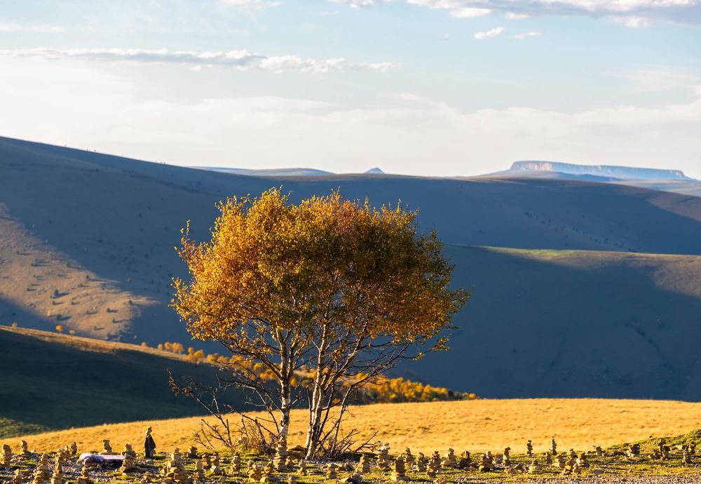 Photograph by Татьяна Тарунтаева