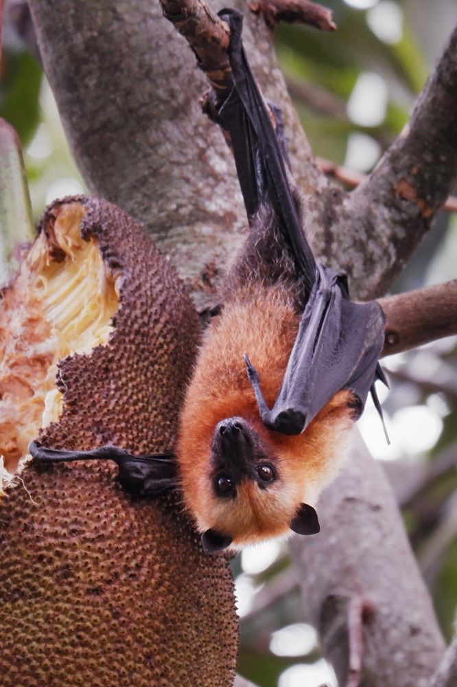 Фотография автора Юрий Кольцов