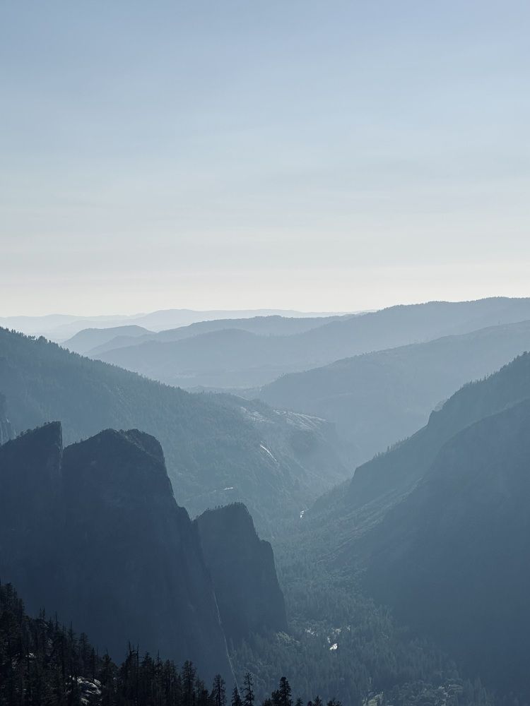 Photograph by Светлана Ионова