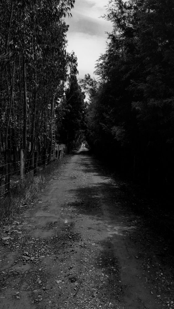 Photograph by Francisco Camacho