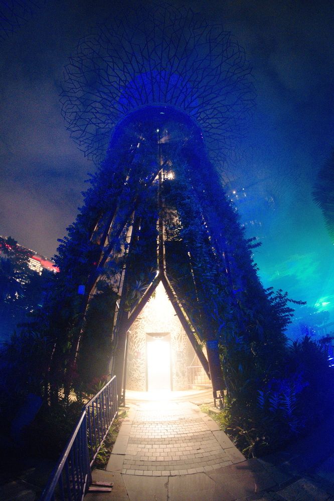 Фотография автора Юрий Кольцов