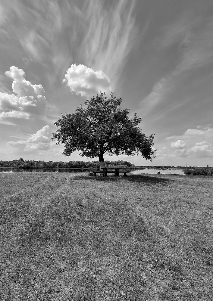 Photograph by Volga Shishko
