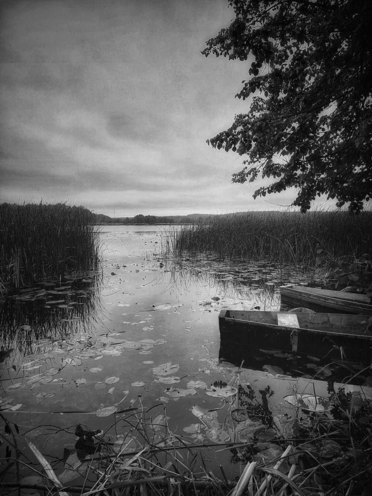 Photograph by Volga Shishko