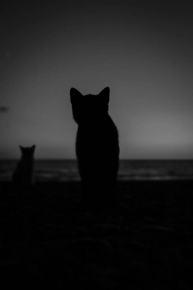 Photograph by Игорь Толкачев