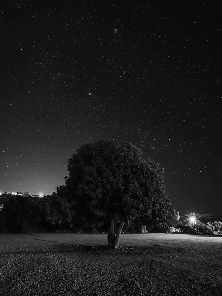 Photograph by Игорь Толкачев