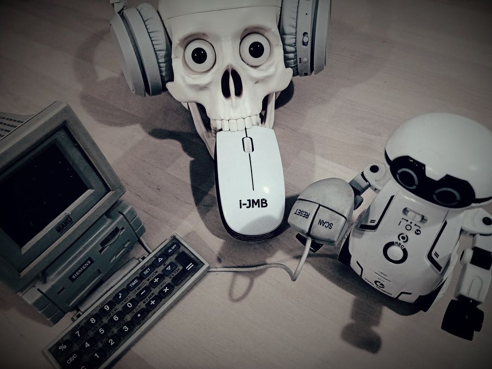 Do you want my mouse?