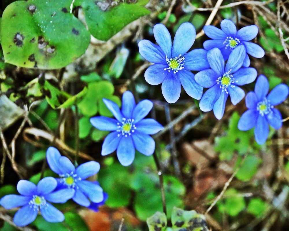 Photograph by Tatyana Markova