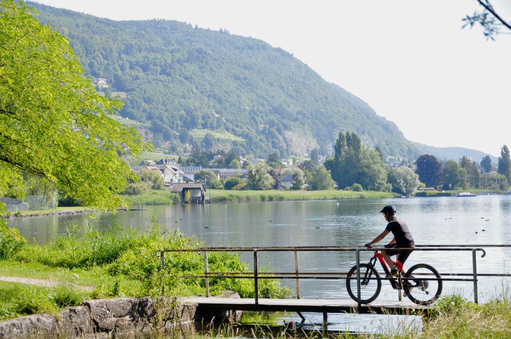 Photograph by Галина Лысых