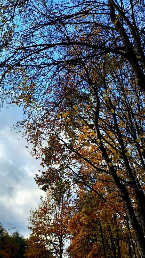 Фотография автора Евгения Зайцева