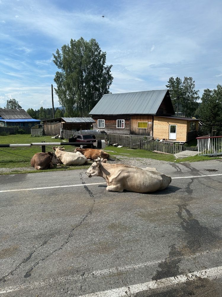 Photograph by Светлана Ионова