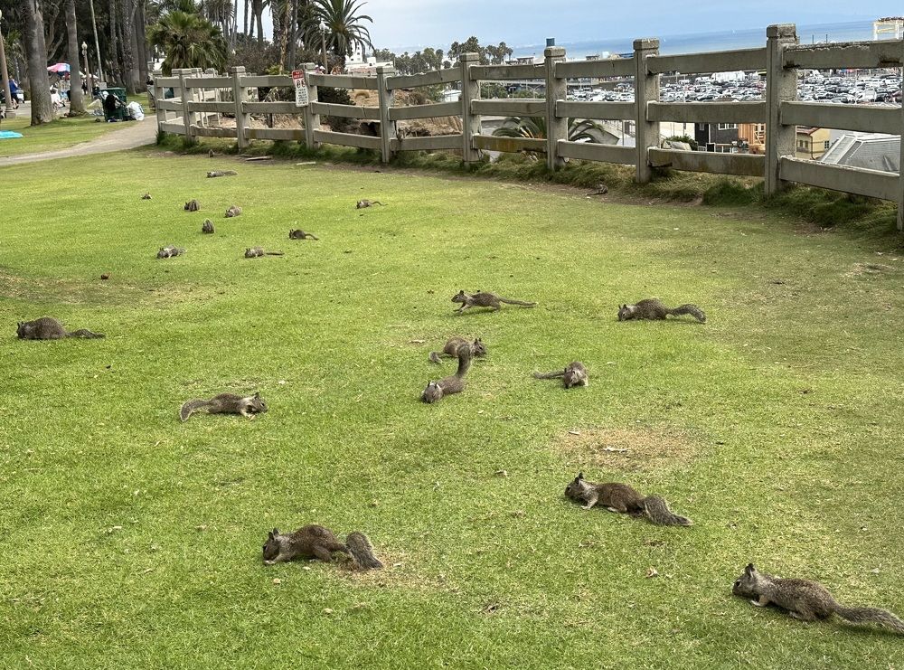 Photograph by Светлана Ионова