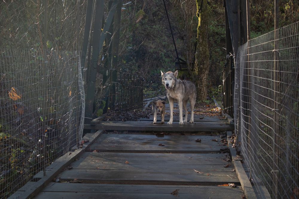 Фотография автора Van Gross