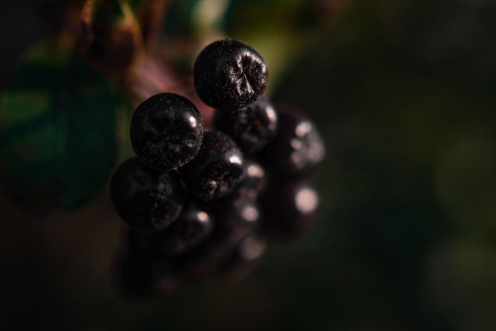 Фотография автора Войнов Дмитрий